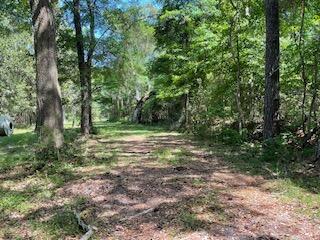 8119 S Loafer Glory Lane Edisto Island SC 29438