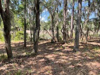 8119 S Loafer Glory Lane Edisto Island SC 29438