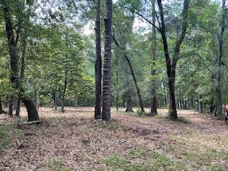 8119 S Loafer Glory Lane Edisto Island SC 29438