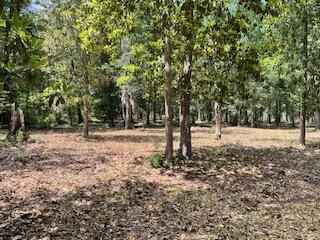 8119 S Loafer Glory Lane Edisto Island SC 29438