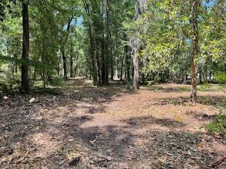 8119 S Loafer Glory Lane Edisto Island SC 29438