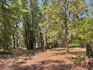 8119 S Loafer Glory Lane Edisto Island SC 29438