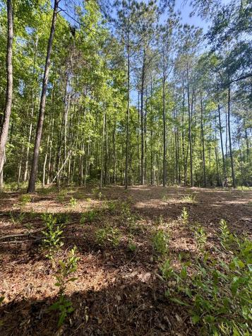 0 Delemar Highway Ravenel SC 29470