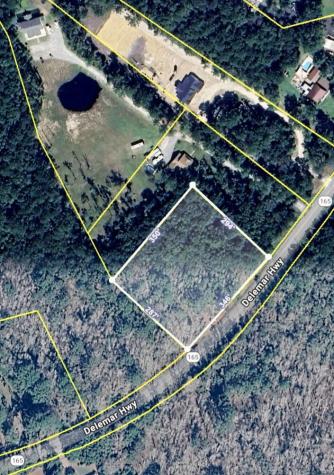 0 Delemar Highway Ravenel SC 29470