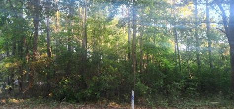 0 Legareville Road Johns Island SC 29455
