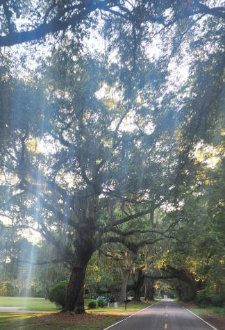 0 Legareville Road Johns Island SC 29455