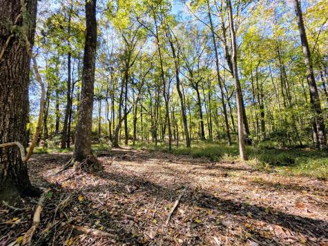 3047 Fickling Hill Road Johns Island SC 29455