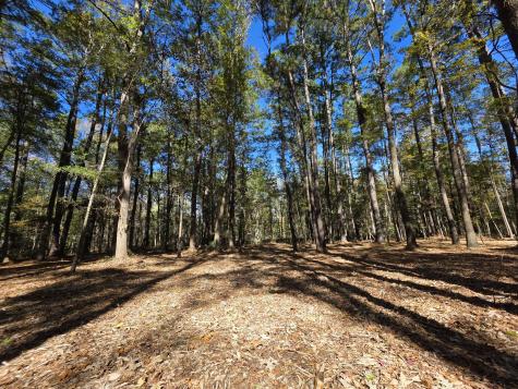 3047 Fickling Hill Road Johns Island SC 29455