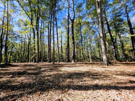 3047 Fickling Hill Road Johns Island SC 29455