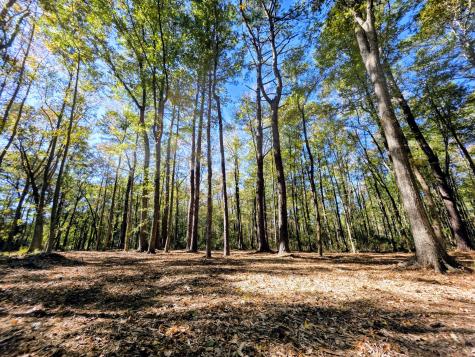 3047 Fickling Hill Road Johns Island SC 29455