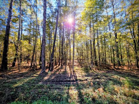 3047 Fickling Hill Road Johns Island SC 29455