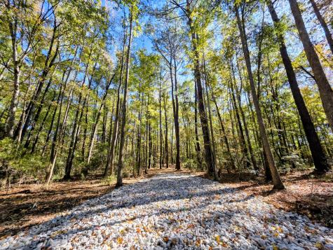 3047 Fickling Hill Road Johns Island SC 29455