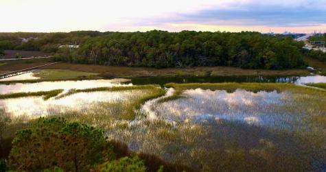 0 Harvest Time Place Wando SC 29492