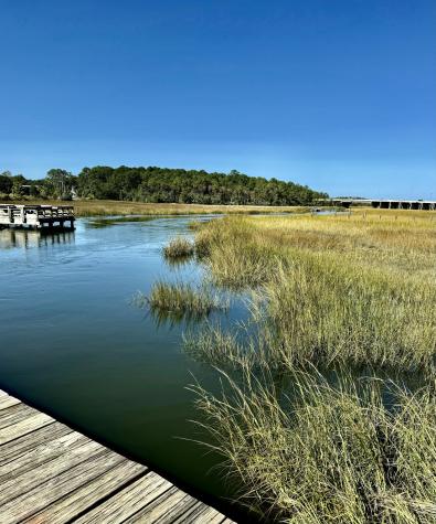 0 Harvest Time Place Wando SC 29492