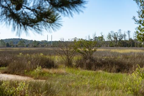2389 Rushland Landing Road Johns Island SC 29455