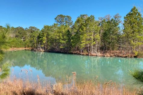 0 Old Pond Road Johns Island SC 29455