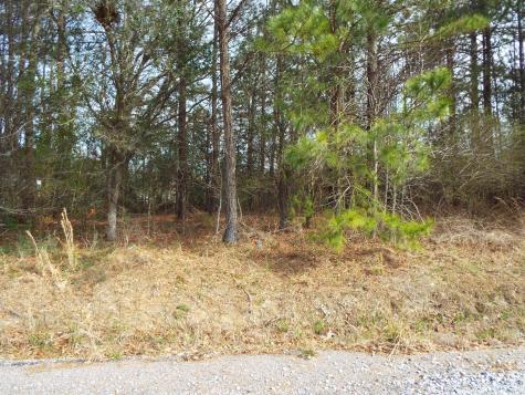 0 Dennis Drive Goose Creek SC 29445