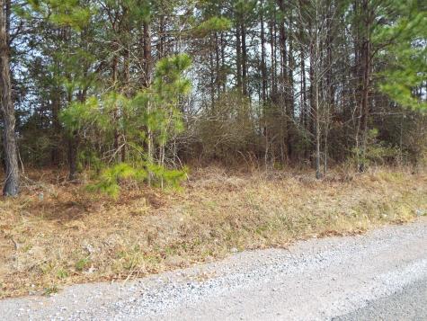 0 Dennis Drive Goose Creek SC 29445