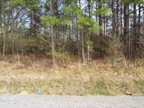0 Dennis Drive Goose Creek SC 29445
