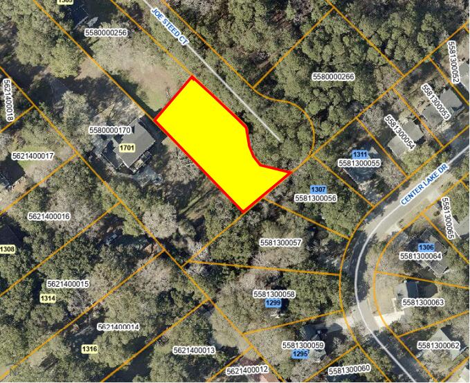 1311 Joe Steed Court Mount Pleasant SC 29464