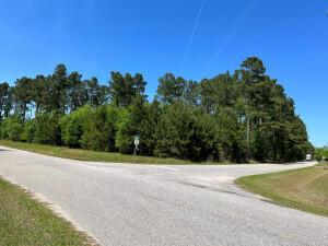 0 Marigold Road Orangeburg SC 29115