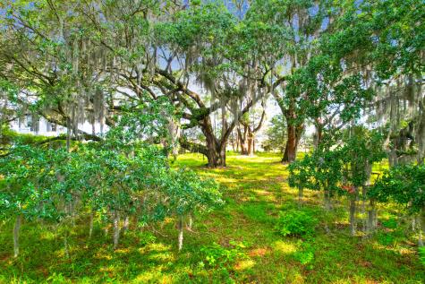 1452 Mcpherson Landing Johns Island SC 29455