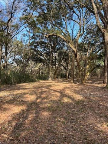 57 Seaside Road Edisto Island SC 29438
