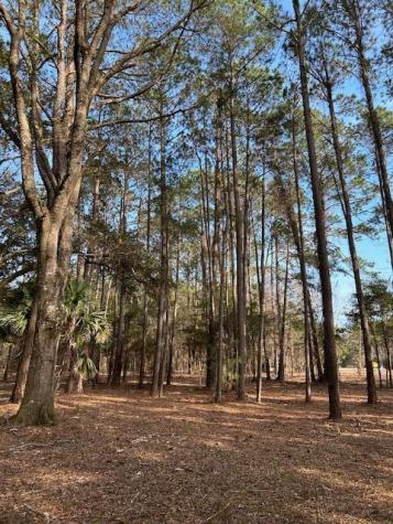 57 Seaside Road Edisto Island SC 29438
