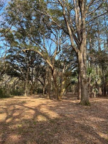 57 Seaside Road Edisto Island SC 29438