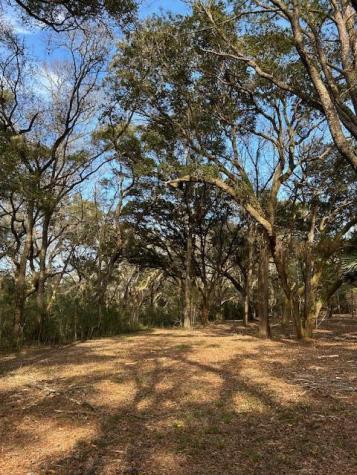 57 Seaside Road Edisto Island SC 29438