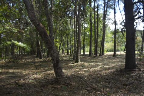 57 Seaside Road Edisto Island SC 29438