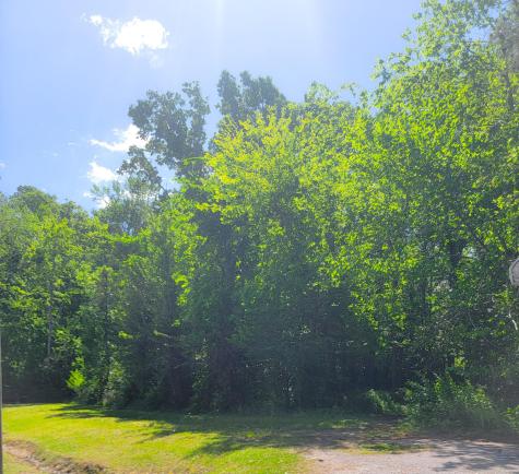 0 Singletary Avenue Moncks Corner SC 29461