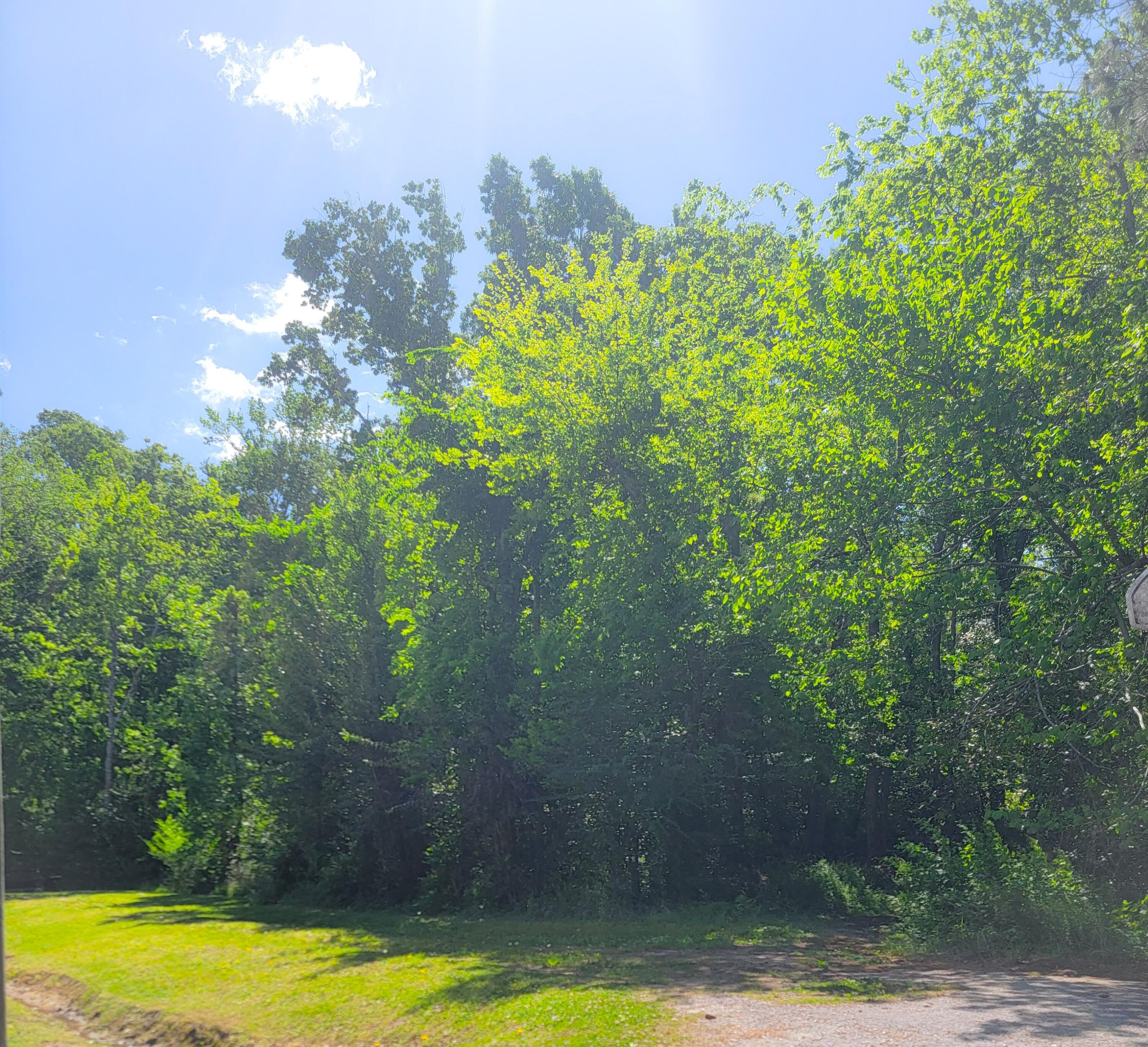 0 Singletary Avenue Moncks Corner SC 29461