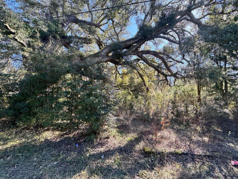 183 Pidgeon Bay Road Summerville SC 29483