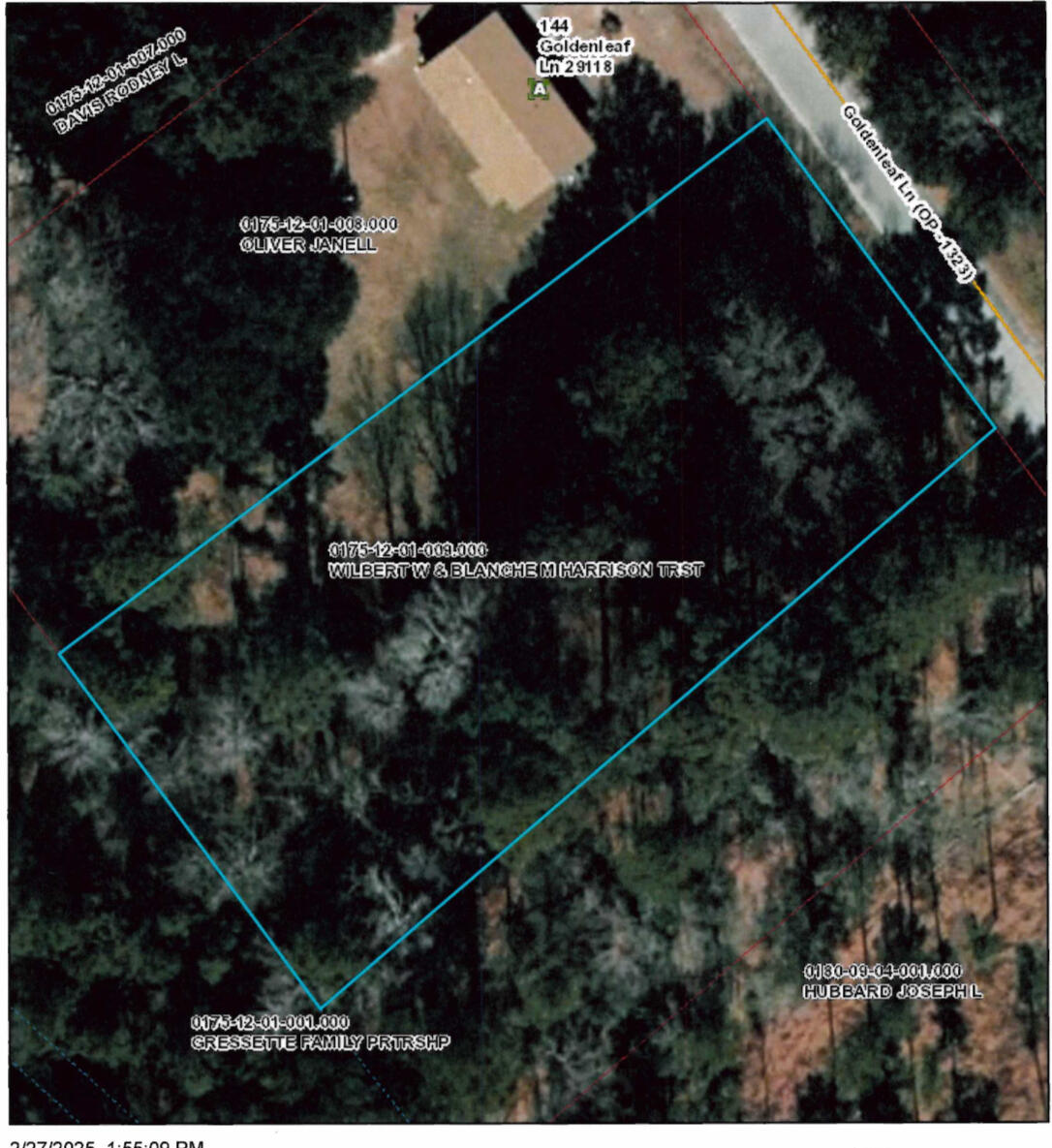 00 Goldenleaf Lane Orangeburg SC 29118