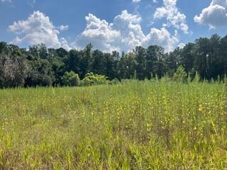 1 Wolffs Lair Road Charleston SC 29414