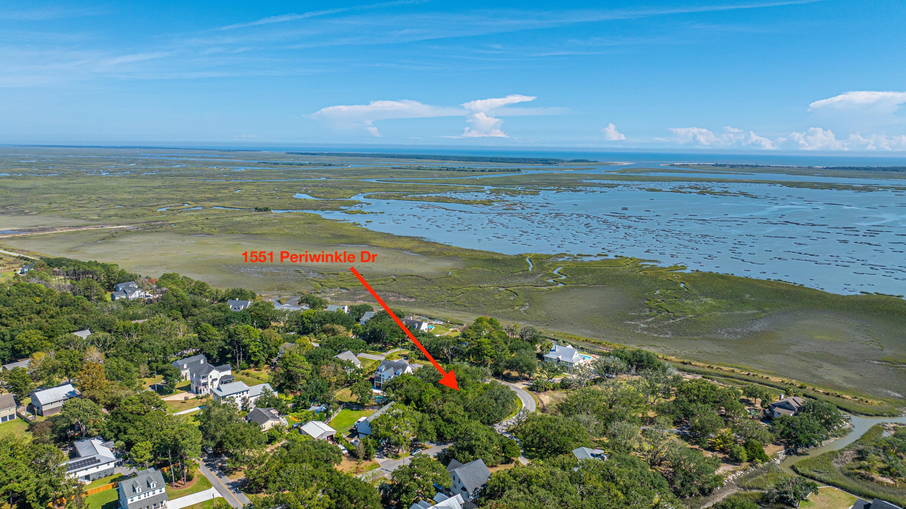 1551 Periwinkle Drive Mount Pleasant SC 29466