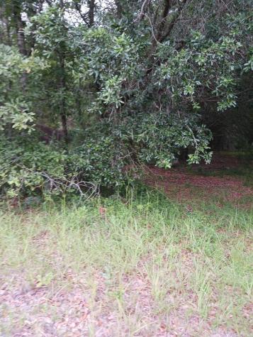 1638 Old Whitesville Road Moncks Corner SC 29461
