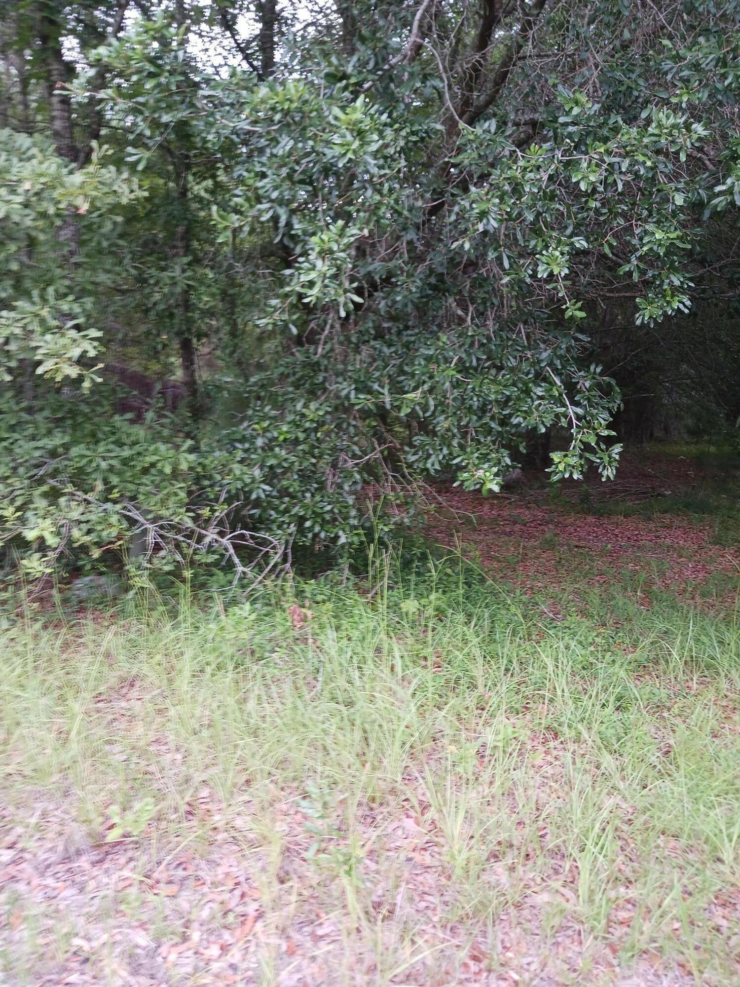 1638 Old Whitesville Road Moncks Corner SC 29461