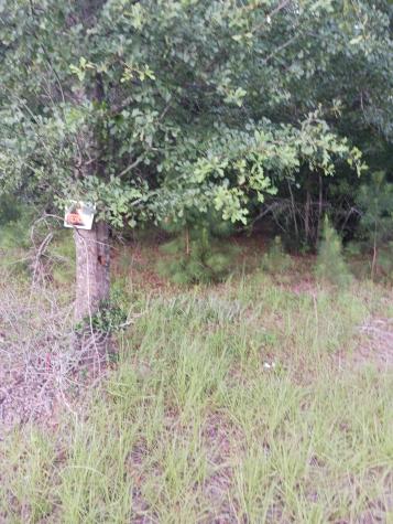 1638 Old Whitesville Road Moncks Corner SC 29461