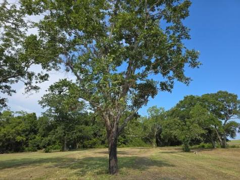 3495 Legareville Road Johns Island SC 29455