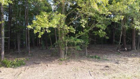 0 Whittaker Parkway Orangeburg SC 29115