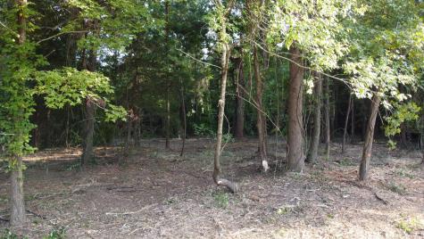 0 Whittaker Parkway Orangeburg SC 29115