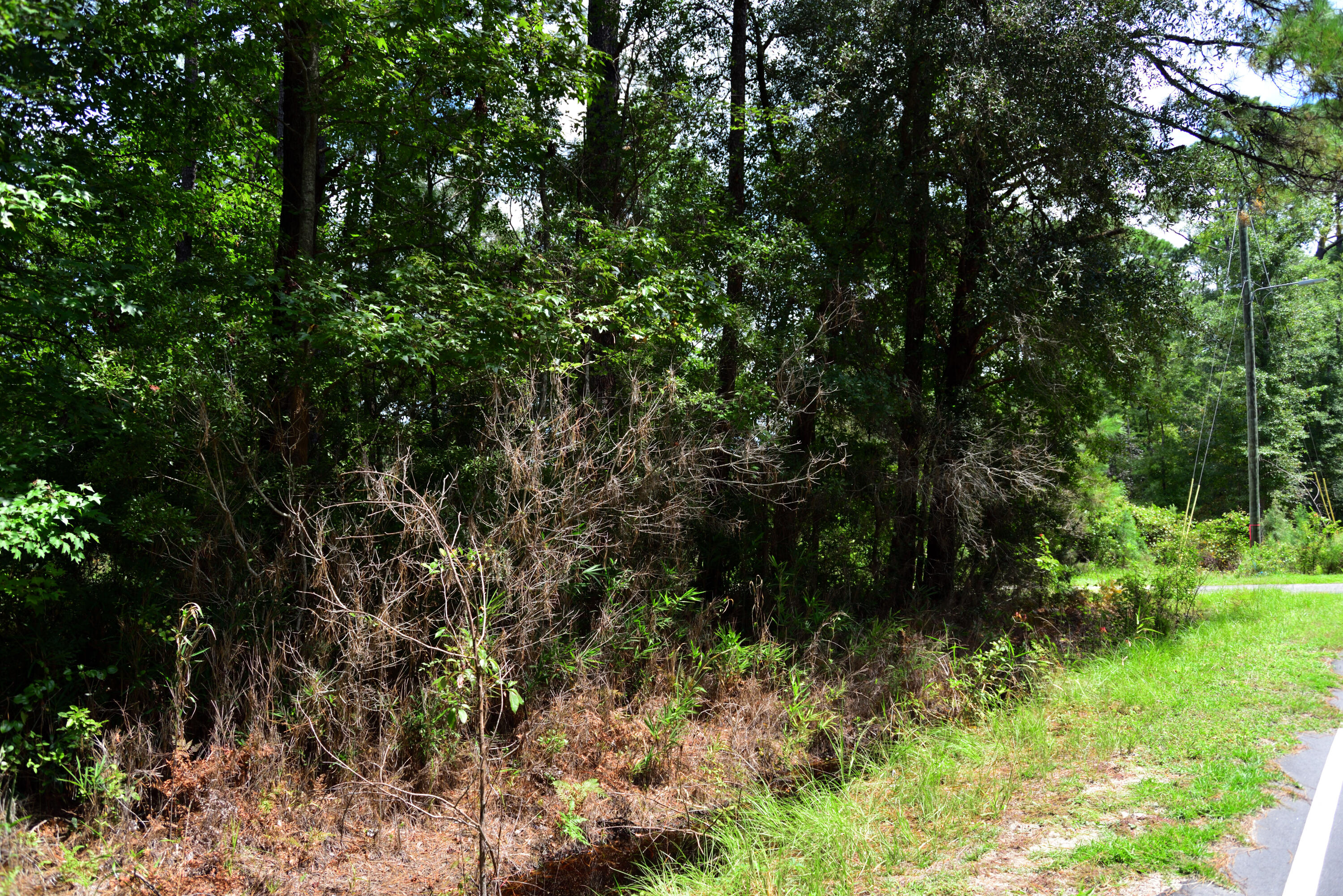 0 Cherry Hill Road Hollywood SC 29449