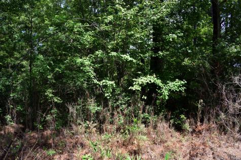 0 Cherry Hill Road Hollywood SC 29449