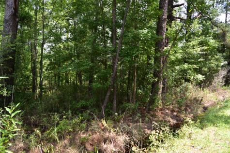 0 Cherry Hill Road Hollywood SC 29449