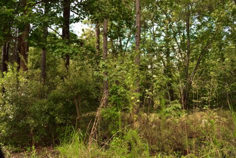 0 Cherry Hill Road Hollywood SC 29449
