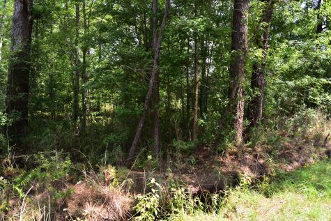 0 Cherry Hill Road Hollywood SC 29449