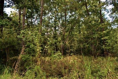 0 Cherry Hill Road Hollywood SC 29449