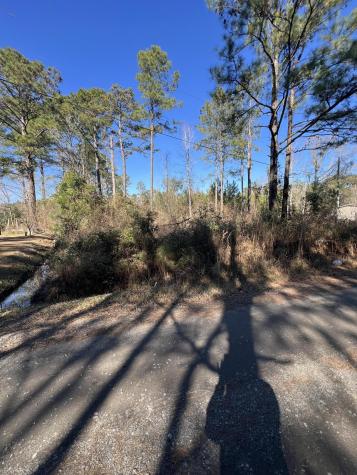 0 Mims Lane Georgetown SC 29440
